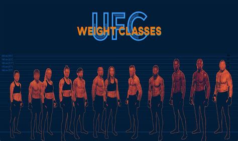 Ultimate Guide to UFC Weight Classes #infographic - Visualistan