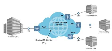 E-Tree - MEF Reference Wiki - MEF Wiki