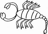 Printable Scorpion Free Picture Coloring Pages  Cool sketch template