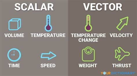 30 Examples Of Vector Quantities Seller UK | gbu-hamovniki.ru