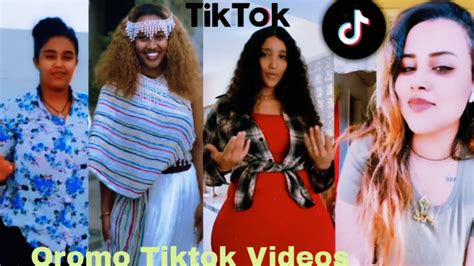 Sirba afaan oromoo haaraa 2023: Oromo music | Oromotiktok - YouTube