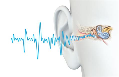 How your ears can cause brain shrinkage, dementia – St George News