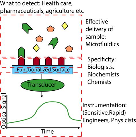 The Potential of Optical Sensors for Point-of-Care Settings – Ignite ...