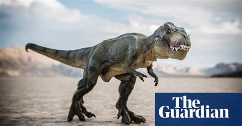 Baby T rex goes on sale on eBay, sparking paleontologists' outcry ...