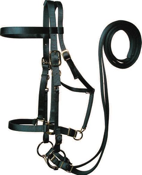 Draft Trail Bridle w/ Removable Bit & Reins - Horse Tack & Supplies