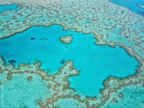 Snorkeling Australia | The best snorkeling spots in Australia