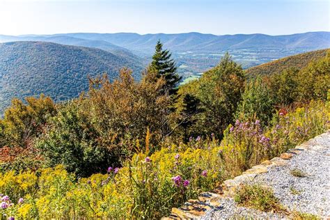 Mount Greylock State Reservation