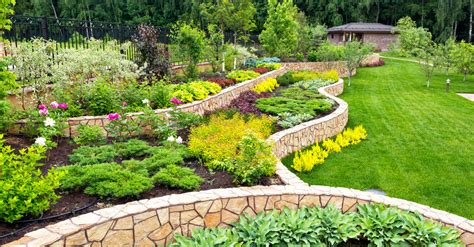 Landscaping 101: How To, Ideas, and Advice on Landscaping Your Yard ...