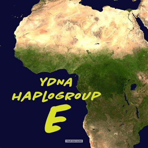 Y-DNA Haplogroup E: E1b1b and E1b1a - Your DNA Guide - Diahan Southard