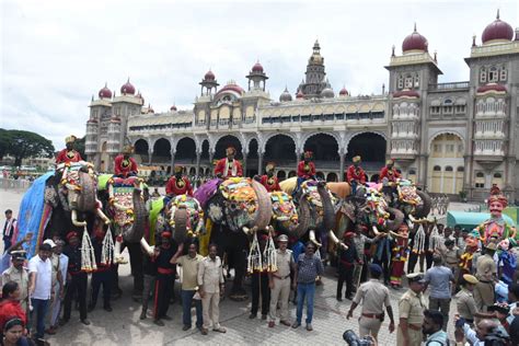 Dasara 2023: Dasara elephants arrive at Mysore Palace; receive rousing reception : Welcome to ...