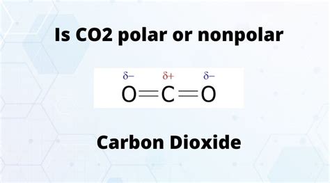 Carbon Dioxide Non Polar - Clarence-has-Pham