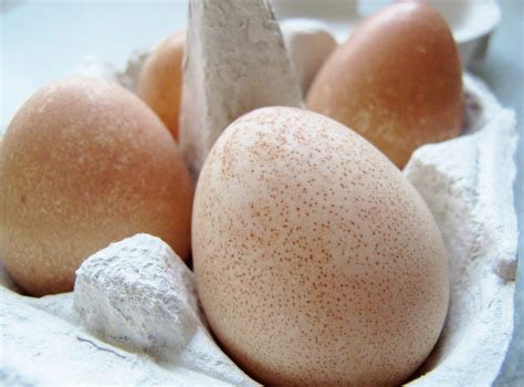 Egg facts and health benefits