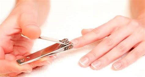 How to clip nails the right way? (Beauty query) - Read Health Related Blogs, Articles & News on ...