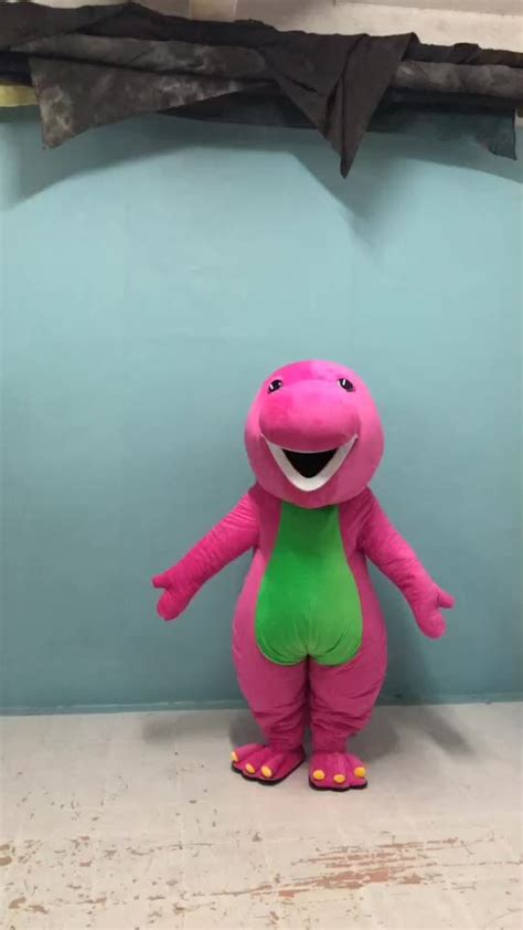 Barney costume adults - storiesfilo