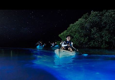 Night Kayaking at Port Blair (Andaman) | by Go2Andaman