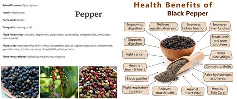 Black Pepper Health Benefits - EP Wellness & Functional Medicine Clinic