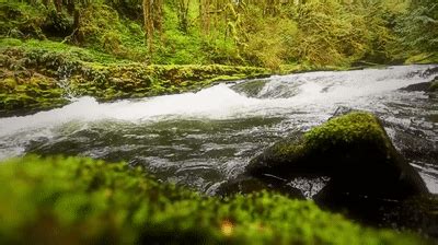 river flowing gif 06 on Make a GIF