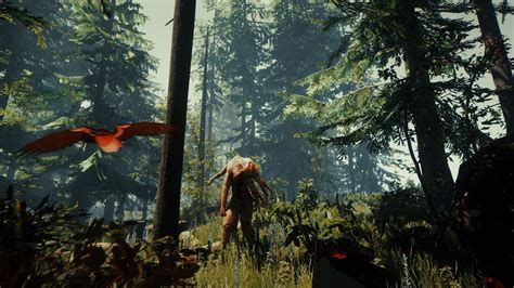 The Forest + Update 1.15 [PS4] [PKG] [Mediafire]