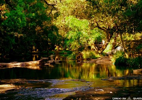 Magical Place in Nisargadhama, Coorg is a place to be