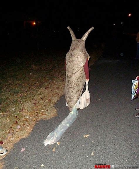 Banana Slug Halloween Costume! | Halloween costumes, Costumes, Bones funny