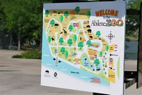 Abilene Zoo - 2021 All You Need to Know BEFORE You Go (with Photos) - Tripadvisor