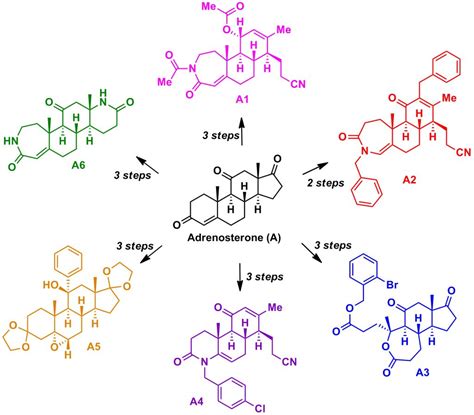 Complex Molecule Synthesis – Hergenrother Lab