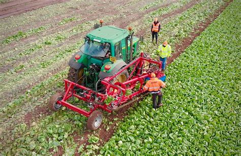 How machine vision helps automate lettuce harvesting - The Robot Report