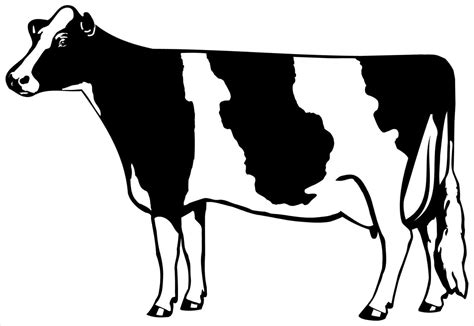 dairy cow clip art 20 free Cliparts | Download images on Clipground 2024
