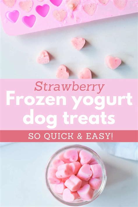 Homemade frozen yogurt dog treats | It's A Vizsla