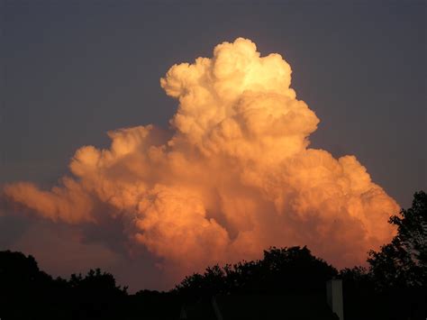 Paintings and More by Sonya: Sky Friday - Cumulus, Rising