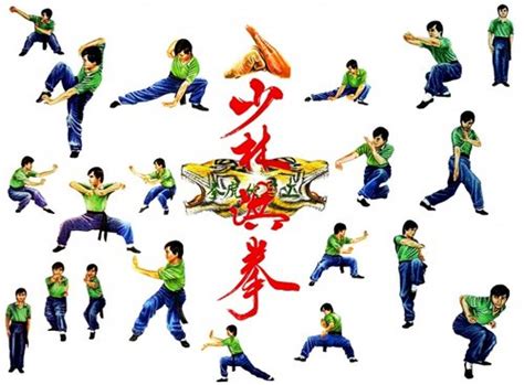 Dragon Kung Fu Techniques