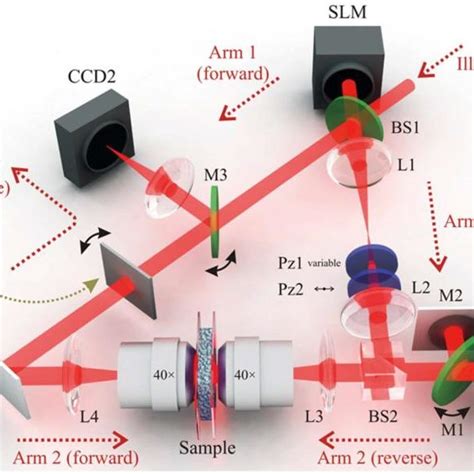 (PDF) Applications of two point intensity correlation in Optical Imaging {Imaging through ...