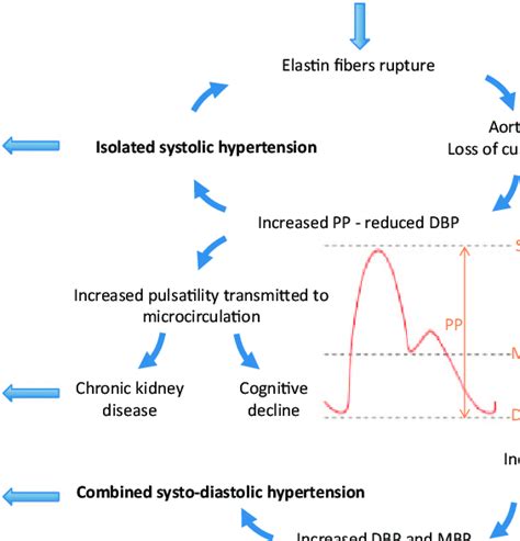 Isolated Systolic Hypertension Treatment Guidelines - Captions Trend