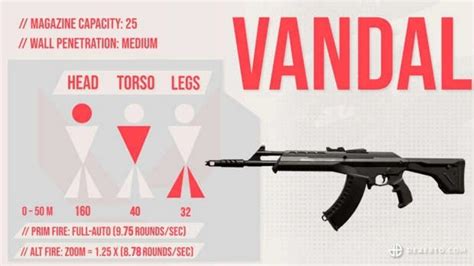 5 Tips to Control Vandal Recoil in Valorant: Spray Control and More