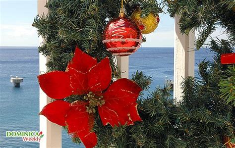 DOMINICA - Christmas Decorations | Christmas experiences, Caribbean christmas, Christmas