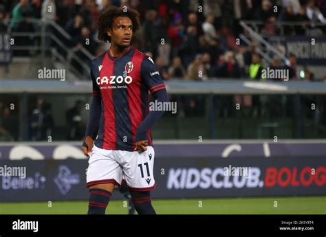 Joshua Zirkzee (Bologna f.c.) during the Italian Football Championship ...