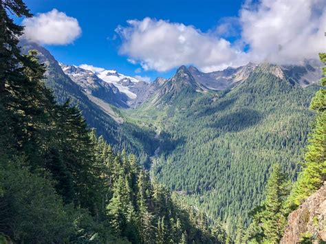 Hoh River Trail - Olympic National Park • MB Guiding