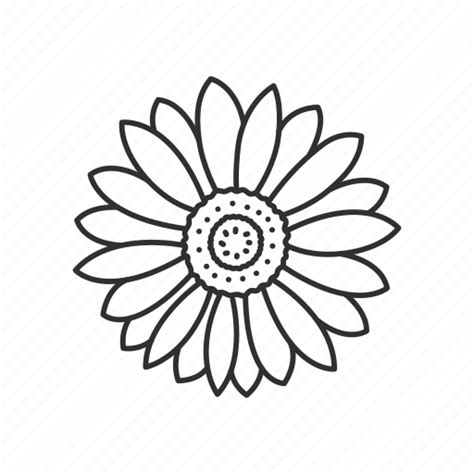 Flower, kansas, state, state flower, state symbol, sunflower, usa icon - Download on Iconfinder