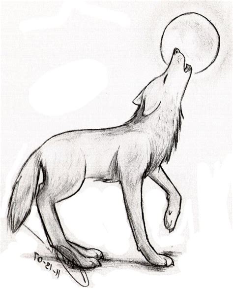 Cute Wolf Drawings at PaintingValley.com | Explore collection of Cute ...