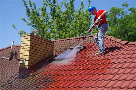 The best roof cleaners of 2023 – Artofit