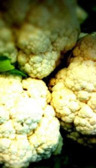 Cauliflower Allergy Symptoms and Diagnosis - Allergy-symptoms.org