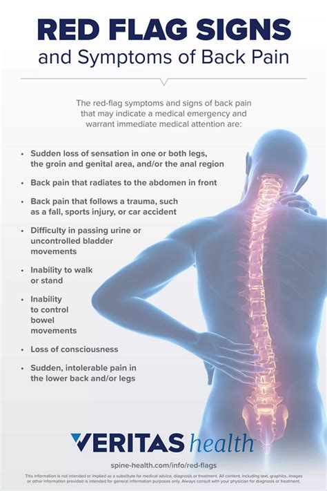 Red Flag Signs and Symptoms of Back Pain Infographic | Spine-health