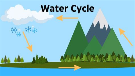 Water Cycle Precipitation