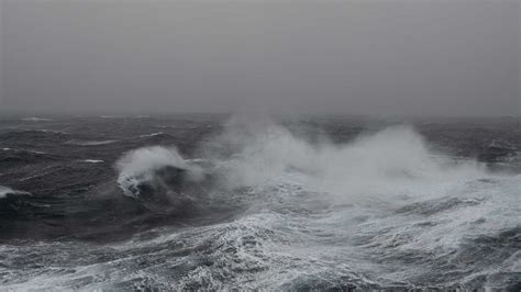 Bellingshausen Sea, Antarctica | 2-22-2023 | National Geographic ...