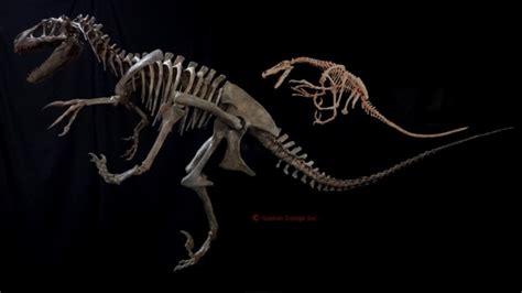 New Utahraptor Skeleton - Gaston Design, Inc.