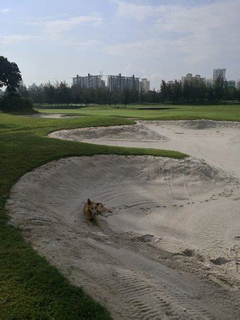 Kharghar Valley Golf Course (Navi Mumbai) - 2019 What to Know Before You Go (with Photos ...