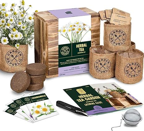 Amazon.com : Indoor Herb Garden Seed Starter Kit - Herbal Tea Growing ...