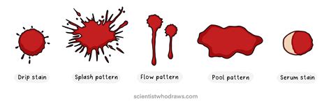 Types of Blood Spatter Stains — Scientist who draws