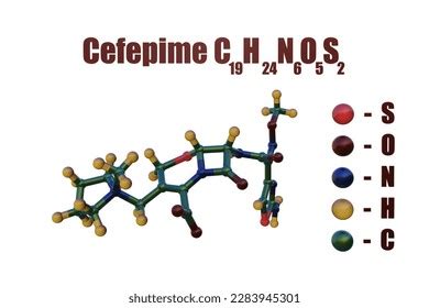 Cefepime Semisynthetic Broadspectrum Fourthgeneration Cephalosporin ...