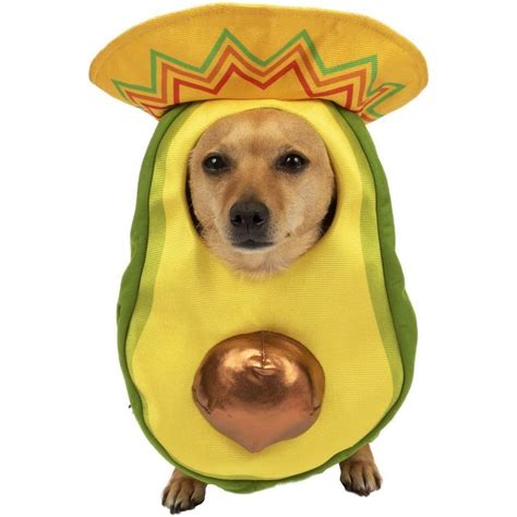 Avocado Sombrero Costume for Dogs | Party City